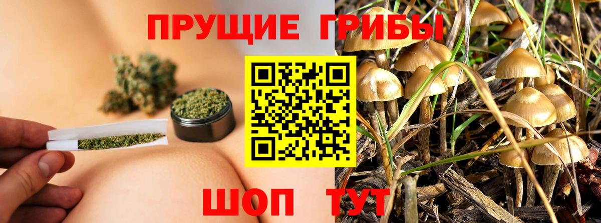 Псилоцибиновые грибы MAGIC MUSHROOMS Черняховск